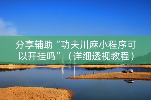 分享辅助“功夫川麻小程序可以开挂吗”（详细透视教程）-哔哩哔哩