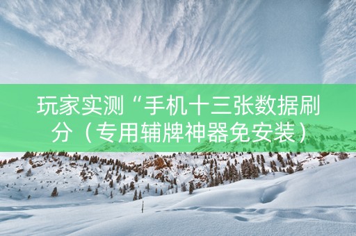 玩家实测“手机十三张数据刷分（专用辅牌神器免安装）