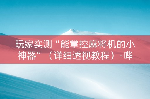 玩家实测“能掌控麻将机的小神器”（详细透视教程）-哔哩哔哩