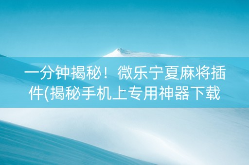 一分钟揭秘！微乐宁夏麻将插件(揭秘手机上专用神器下载)