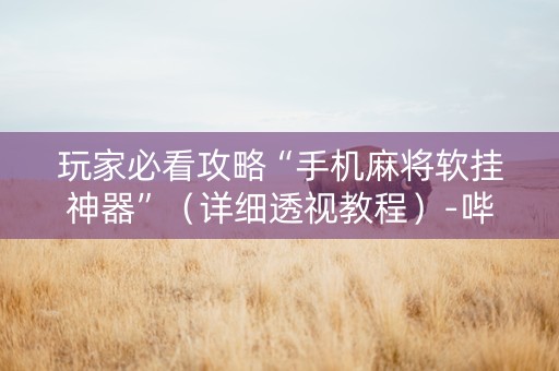 玩家必看攻略“手机麻将软挂神器”（详细透视教程）-哔哩哔哩