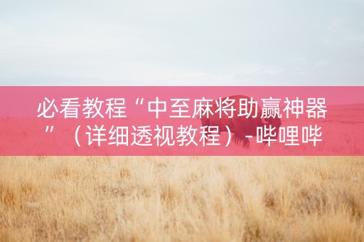 必看教程“中至麻将助赢神器”（详细透视教程）-哔哩哔哩