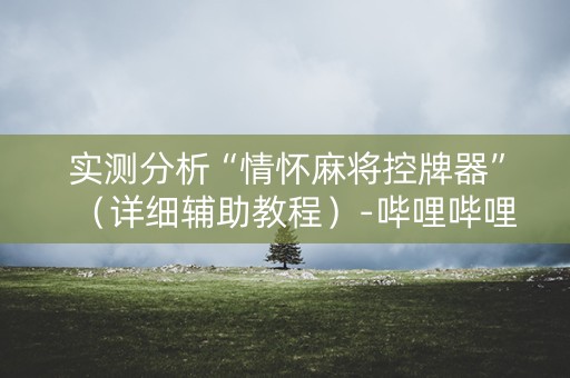 实测分析“情怀麻将控牌器”（详细辅助教程）-哔哩哔哩