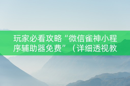玩家必看攻略“微信雀神小程序辅助器免费”（详细透视教程）-哔哩哔哩