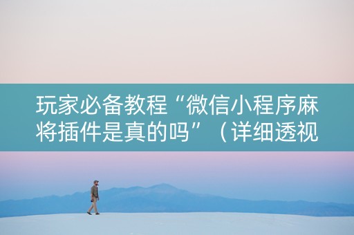 玩家必备教程“微信小程序麻将插件是真的吗”（详细透视教程）-哔哩哔哩