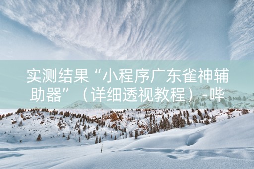 实测结果“小程序广东雀神辅助器”（详细透视教程）-哔哩哔哩