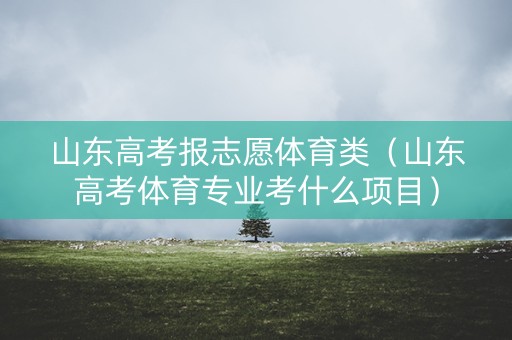 山东高考报志愿体育类（山东高考体育专业考什么项目）