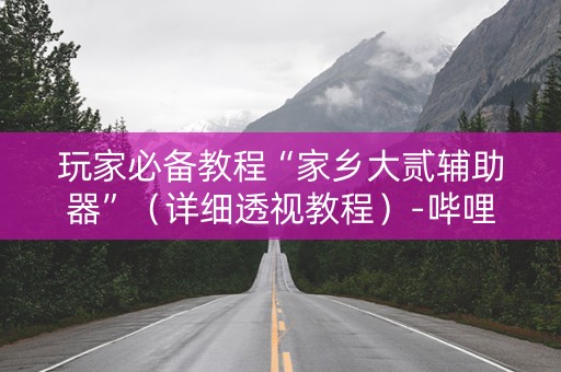 玩家必备教程“家乡大贰辅助器”（详细透视教程）-哔哩哔哩