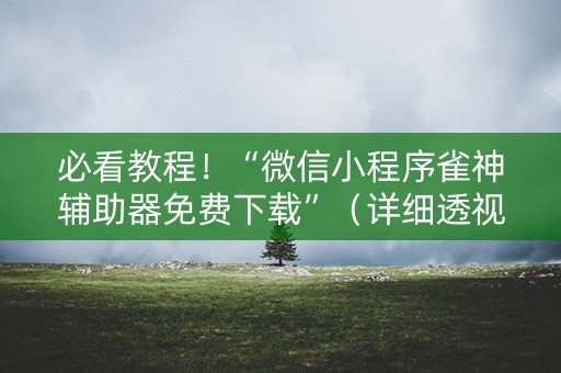 必看教程！“微信小程序雀神辅助器免费下载”（详细透视教程）-哔哩哔哩