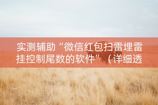 实测辅助“微信红包扫雷埋雷挂控制尾数的软件”（详细透视教程）-哔哩哔哩