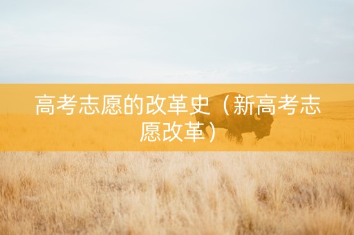 高考志愿的改革史（新高考志愿改革）