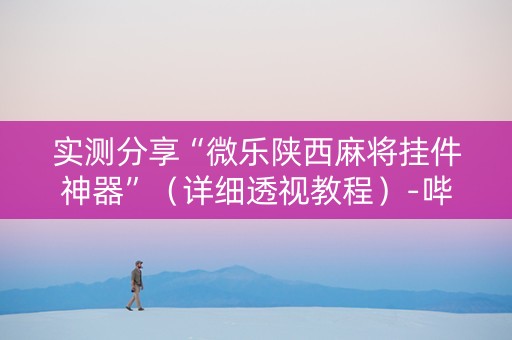 实测分享“微乐陕西麻将挂件神器”（详细透视教程）-哔哩哔哩