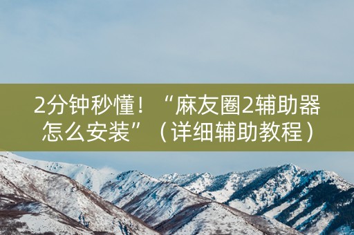 2分钟秒懂！“麻友圈2辅助器怎么安装”（详细辅助教程）-哔哩哔哩