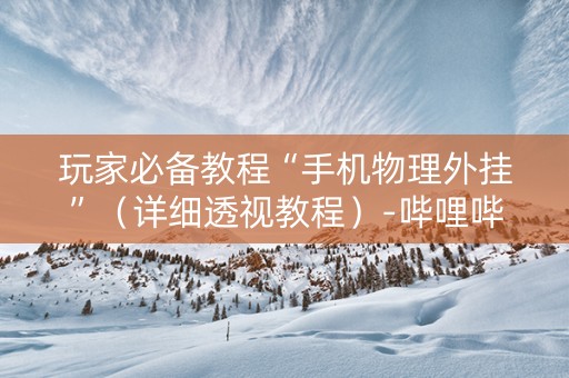 玩家必备教程“手机物理外挂”（详细透视教程）-哔哩哔哩