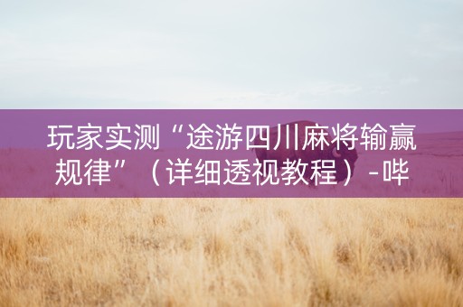 玩家实测“途游四川麻将输赢规律”（详细透视教程）-哔哩哔哩