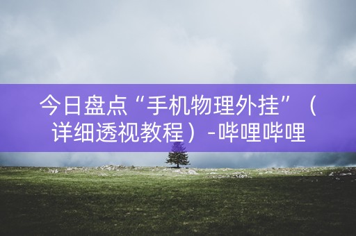 今日盘点“手机物理外挂”（详细透视教程）-哔哩哔哩