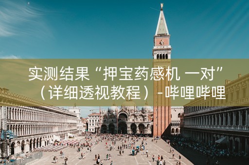 实测结果“押宝药感机 一对”（详细透视教程）-哔哩哔哩