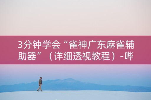 3分钟学会“雀神广东麻雀辅助器”（详细透视教程）-哔哩哔哩