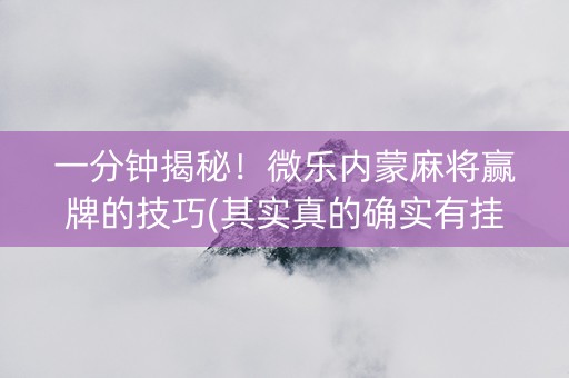一分钟揭秘！微乐内蒙麻将赢牌的技巧(其实真的确实有挂)