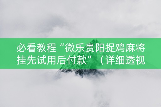 必看教程“微乐贵阳捉鸡麻将挂先试用后付款”（详细透视教程）-哔哩哔哩