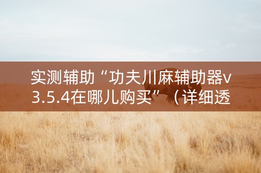 实测辅助“功夫川麻辅助器v3.5.4在哪儿购买”（详细透视教程）-哔哩哔哩