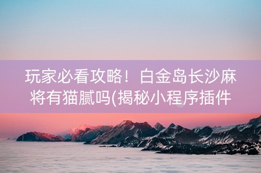 玩家必看攻略！白金岛长沙麻将有猫腻吗(揭秘小程序插件免费)