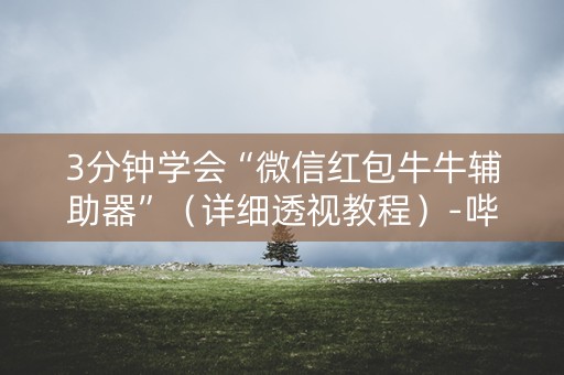 3分钟学会“微信红包牛牛辅助器”（详细透视教程）-哔哩哔哩