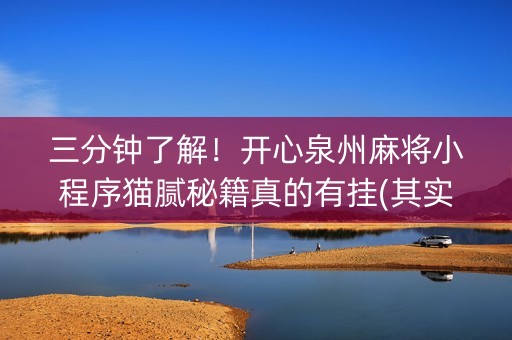 三分钟了解！开心泉州麻将小程序猫腻秘籍真的有挂(其实是有挂的)