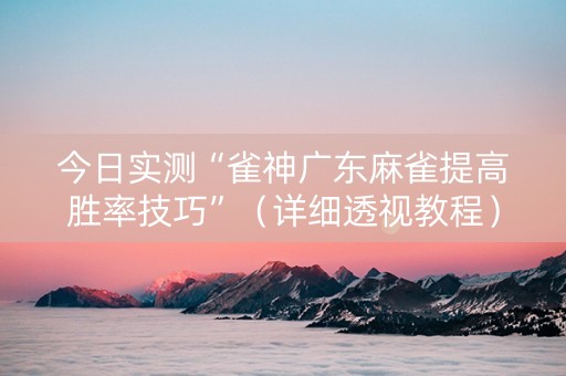今日实测“雀神广东麻雀提高胜率技巧”（详细透视教程）-哔哩哔哩