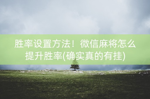 胜率设置方法！微信麻将怎么提升胜率(确实真的有挂)