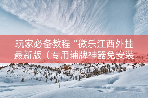 玩家必备教程“微乐江西外挂最新版（专用辅牌神器免安装）