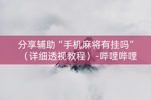 分享辅助“手机麻将有挂吗”（详细透视教程）-哔哩哔哩