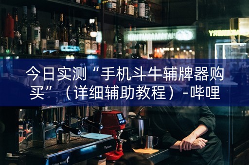 今日实测“手机斗牛辅牌器购买”（详细辅助教程）-哔哩哔哩