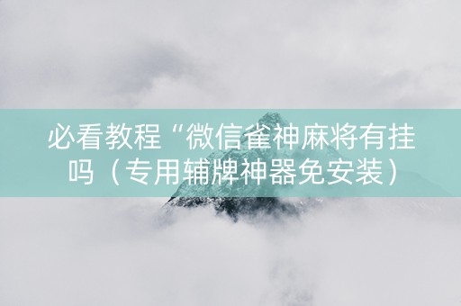必看教程“微信雀神麻将有挂吗（专用辅牌神器免安装）