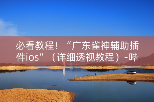 必看教程！“广东雀神辅助插件ios”（详细透视教程）-哔哩哔哩