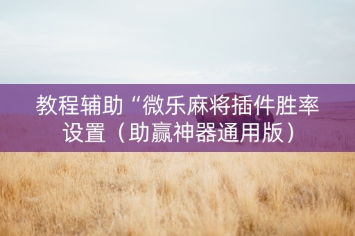教程辅助“微乐麻将插件胜率设置（助赢神器通用版）