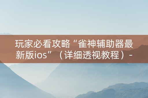 玩家必看攻略“雀神辅助器最新版ios”（详细透视教程）-哔哩哔哩