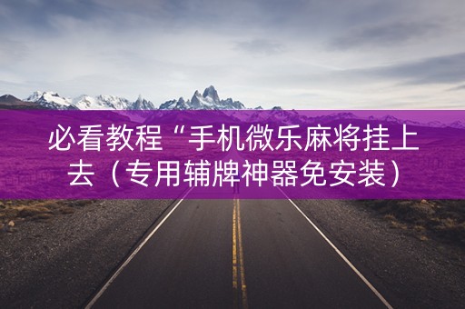 必看教程“手机微乐麻将挂上去（专用辅牌神器免安装）