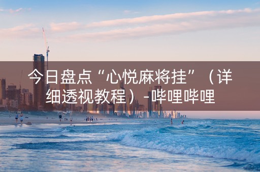 今日盘点“心悦麻将挂”（详细透视教程）-哔哩哔哩