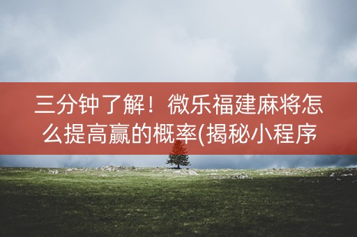 三分钟了解！微乐福建麻将怎么提高赢的概率(揭秘小程序助攻神器)