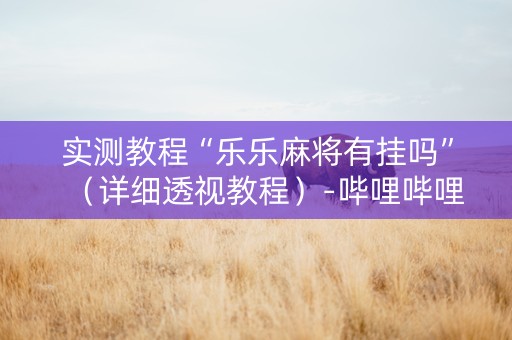 实测教程“乐乐麻将有挂吗”（详细透视教程）-哔哩哔哩