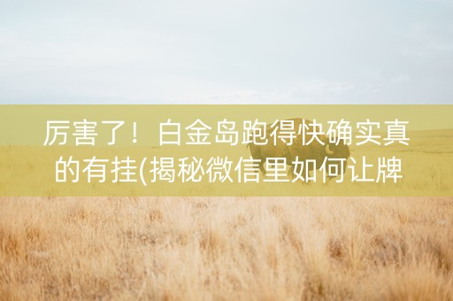 厉害了！白金岛跑得快确实真的有挂(揭秘微信里如何让牌变好)