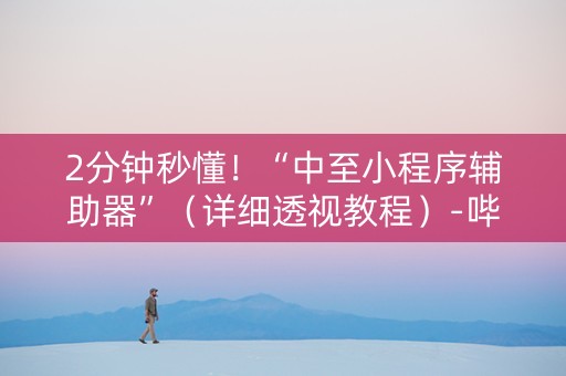 2分钟秒懂！“中至小程序辅助器”（详细透视教程）-哔哩哔哩