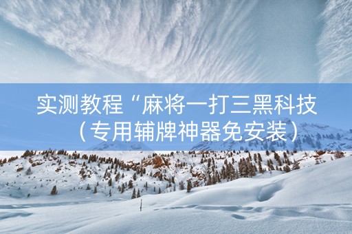 实测教程“麻将一打三黑科技（专用辅牌神器免安装）