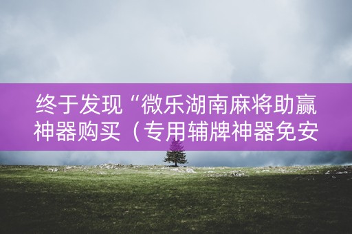 终于发现“微乐湖南麻将助赢神器购买（专用辅牌神器免安装）