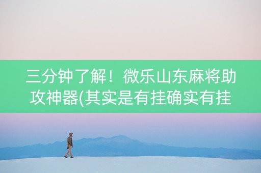 三分钟了解！微乐山东麻将助攻神器(其实是有挂确实有挂)