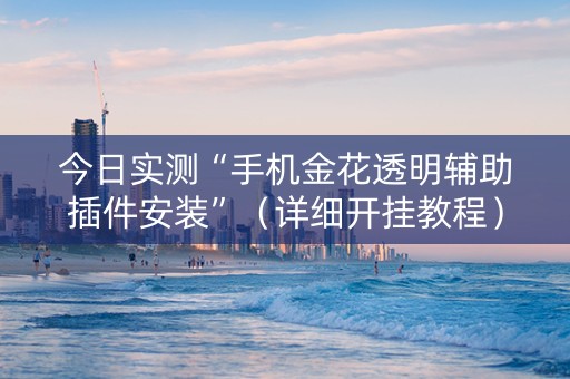 今日实测“手机金花透明辅助插件安装”（详细开挂教程）-哔哩哔哩
