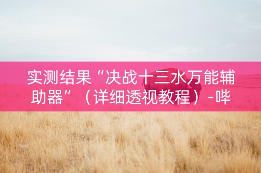 实测结果“决战十三水万能辅助器”（详细透视教程）-哔哩哔哩