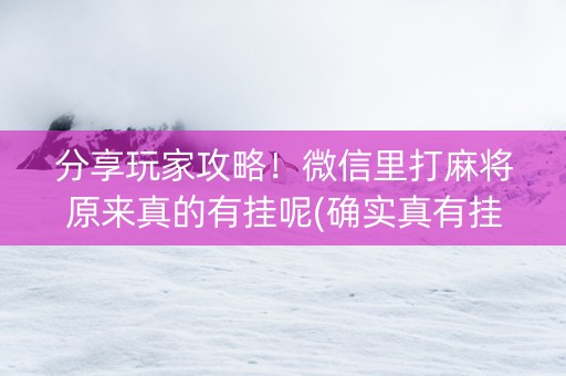 分享玩家攻略！微信里打麻将原来真的有挂呢(确实真有挂)