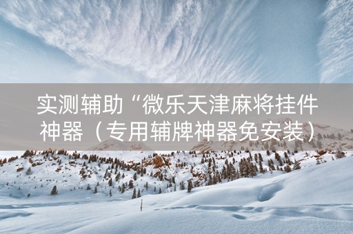实测辅助“微乐天津麻将挂件神器（专用辅牌神器免安装）